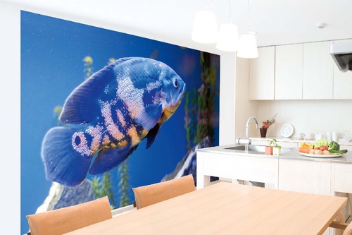 Vlies Fototapete - Großer blauer Fisch im Aquarium 375 x 250 cm